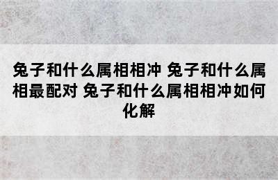 兔子和什么属相相冲 兔子和什么属相最配对 兔子和什么属相相冲如何化解